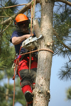 Protection contre les chutes de hauteur